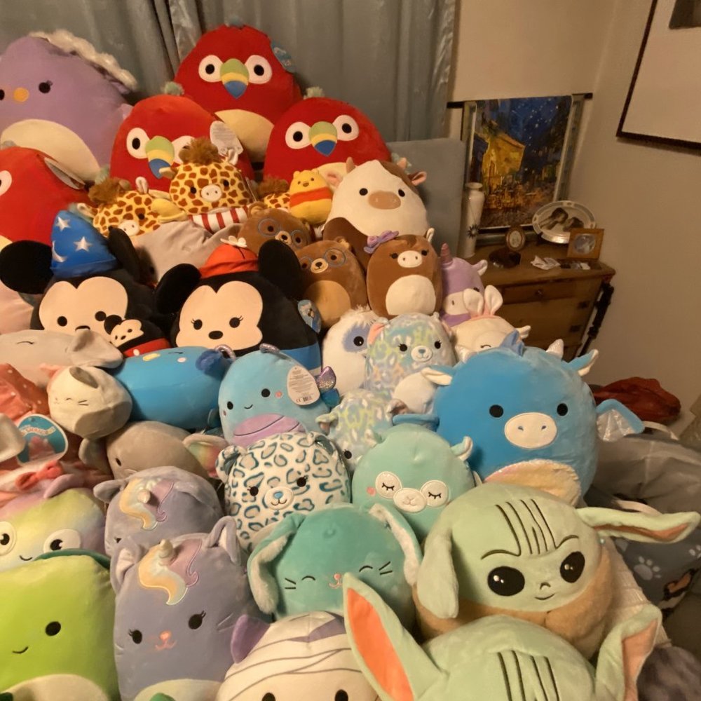 Squishmallows - Picture 5 of 14